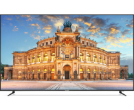 TechniSat TECHNIVISTA 65, tytanowy - 1381344 - zdjęcie 1